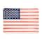 Red, White & Blue USA Flag Dinner Plates, 10ct. by Celebrate It™